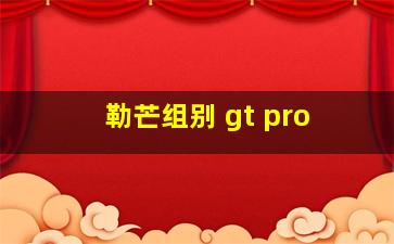 勒芒组别 gt pro